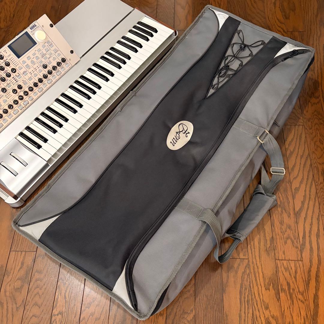 Korg Others Radias
