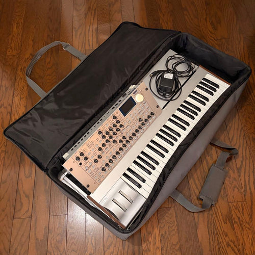Korg Others Radias