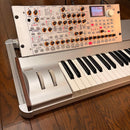 Korg Others Radias