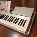 Korg Others Radias