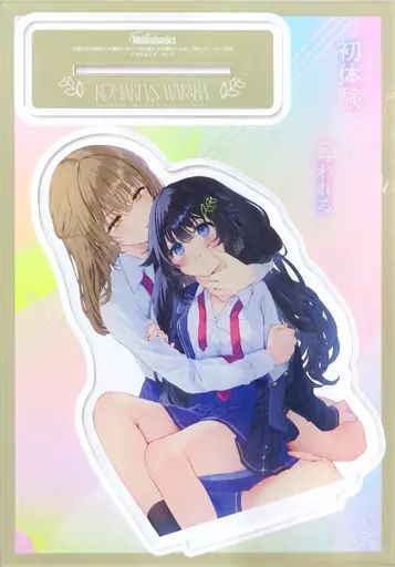 Acrylic Stand B6 1