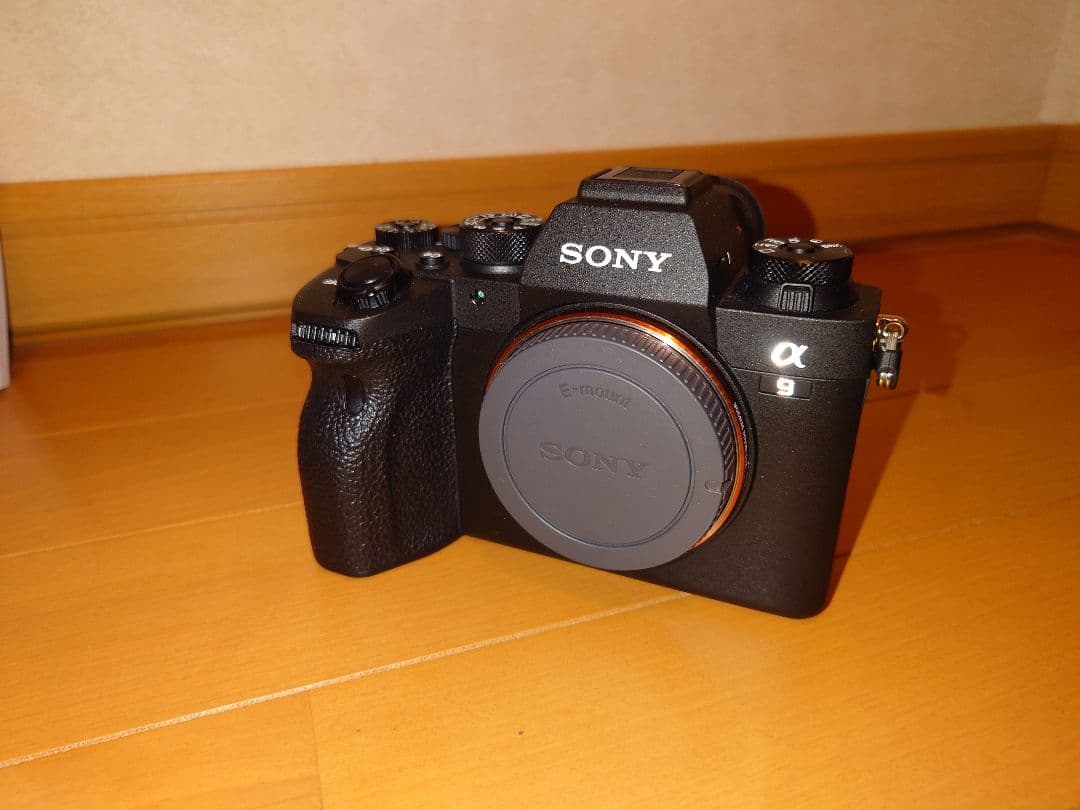 Sony Other 9 Ii Ilce-9M2 Vg-C4Em