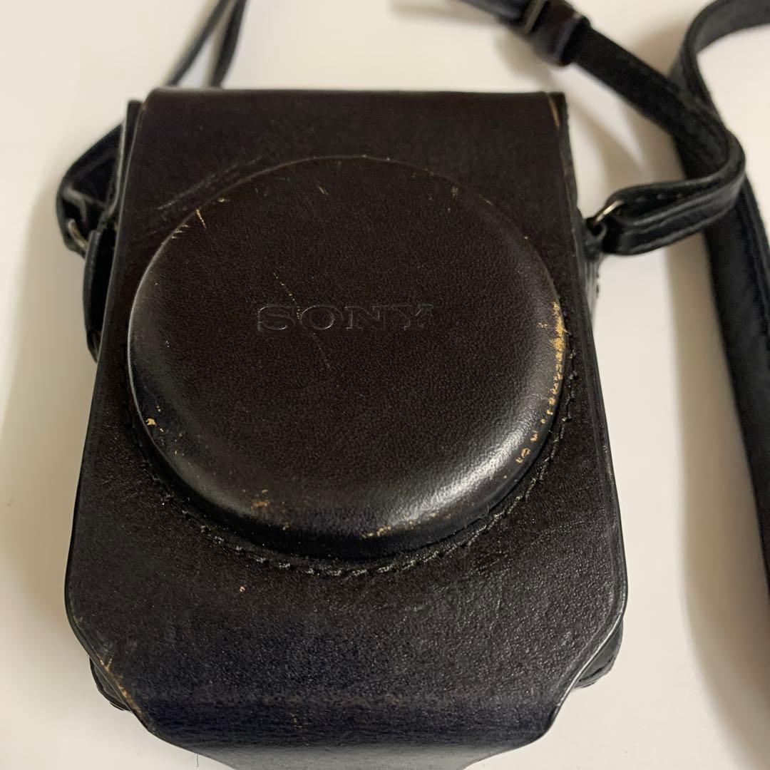 Sony Camera Cases Rx100 Lcs-Rxg
