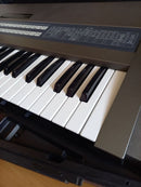 Roland Analog Synthesizers Jx-8P
