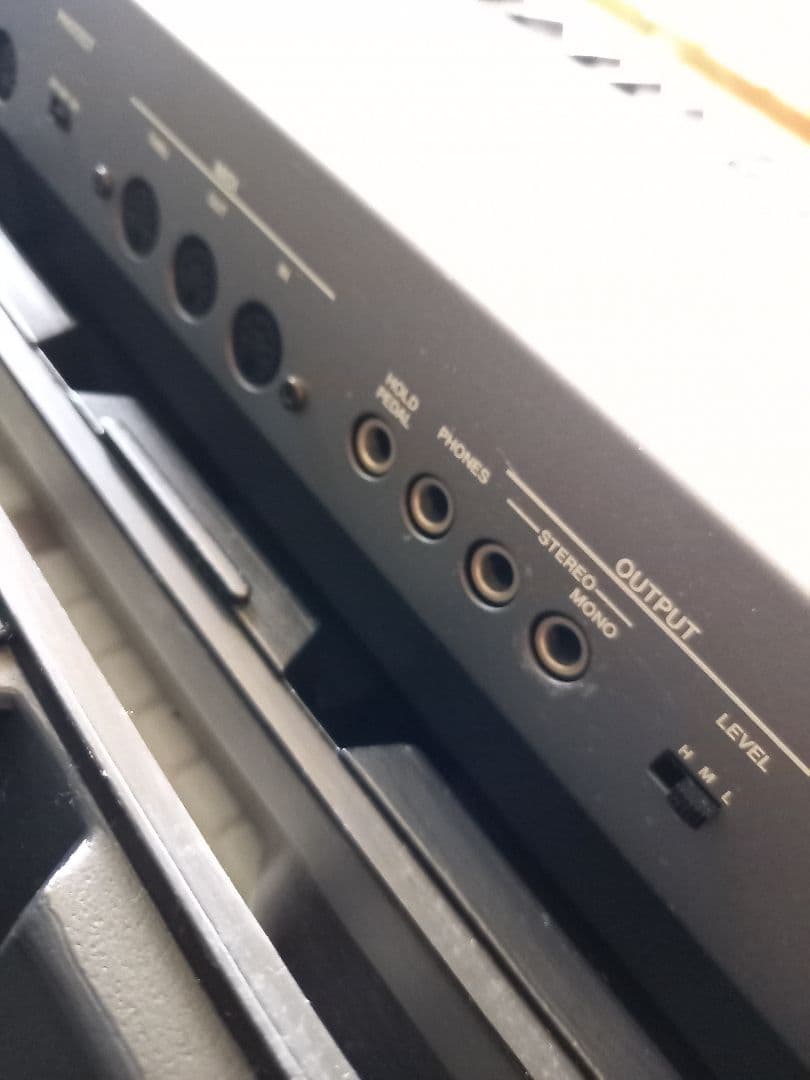 Roland Analog Synthesizers Jx-8P