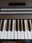 Roland Analog Synthesizers Jx-8P