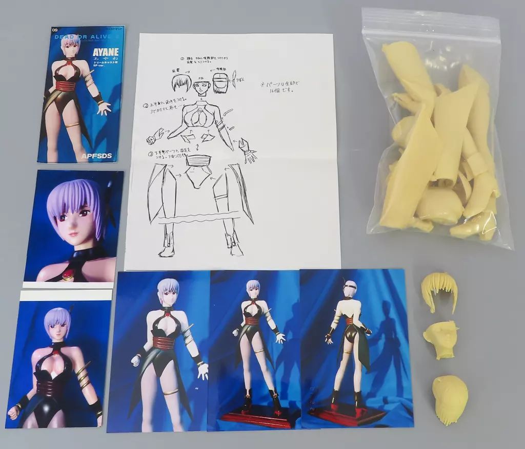 Game Character 5P Ver. Dead Or Alive2 1/6