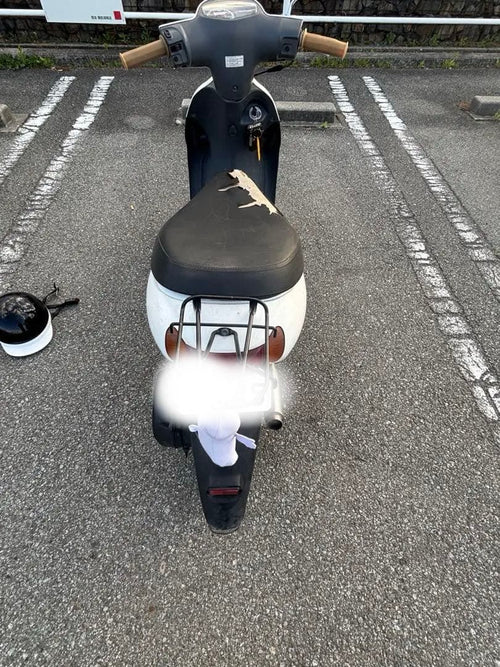 Suzuki Motorcycle Body 4