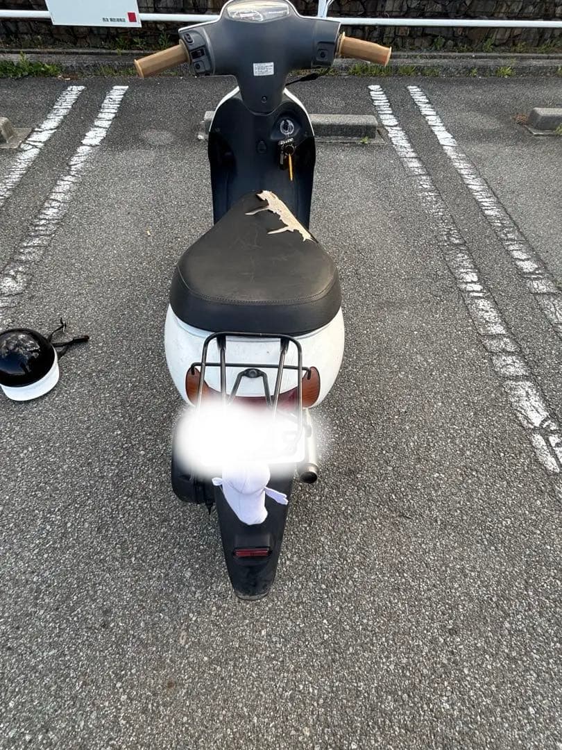 Suzuki Motorcycle Body 4