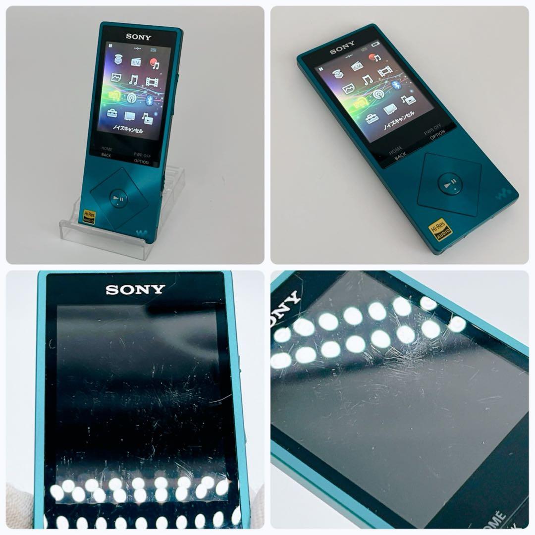 Sony Digital Audio Player Walkman Nw-A25Hn