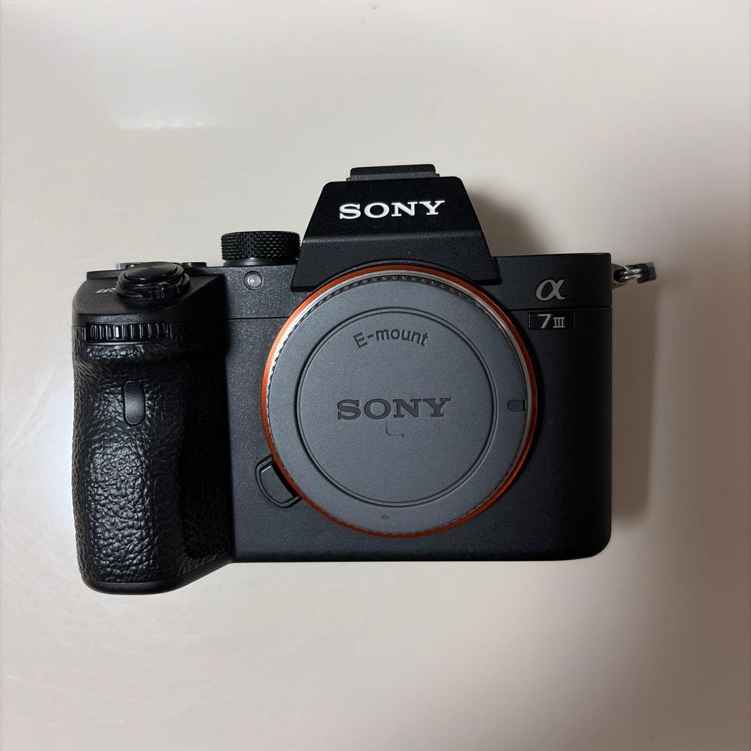 Sony Mirrorless Interchangeable Lens Cameras 7 Iii