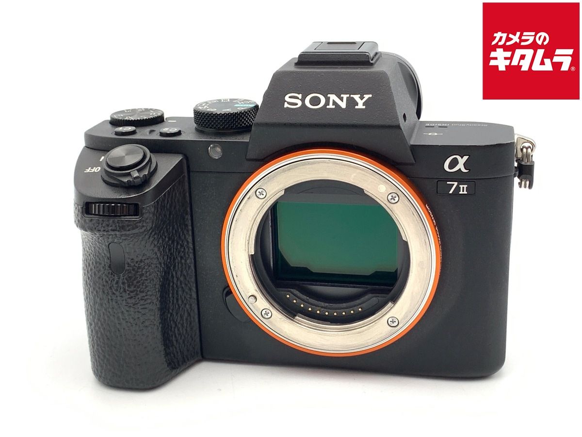 Mirrorless Interchangeable Lips 7Ii [Ilce-7M2]