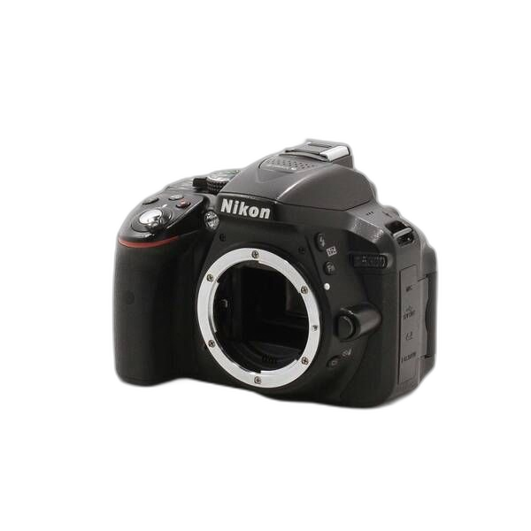 Nikon Digital Slr D5300 349