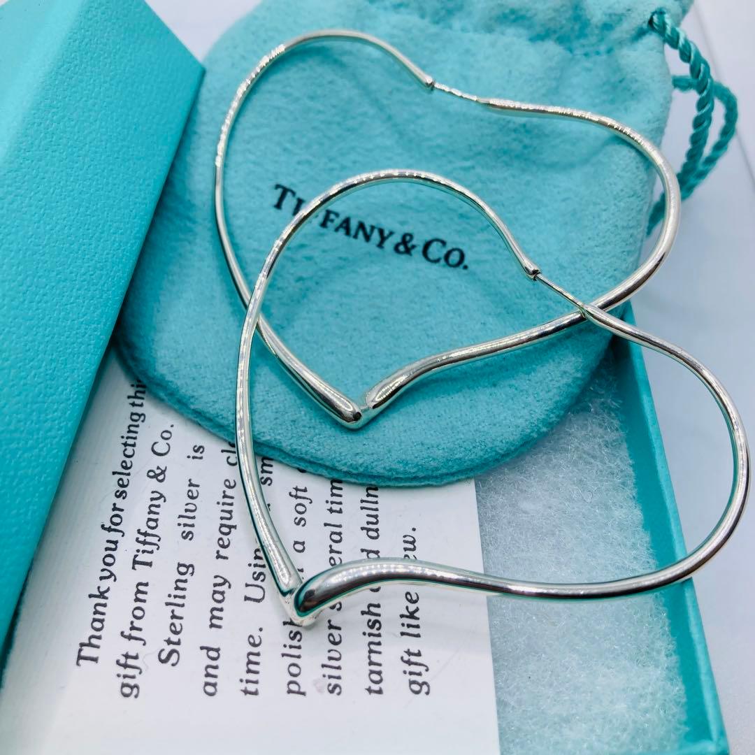 Tiffany Earrings (For Both Ears) Ag925