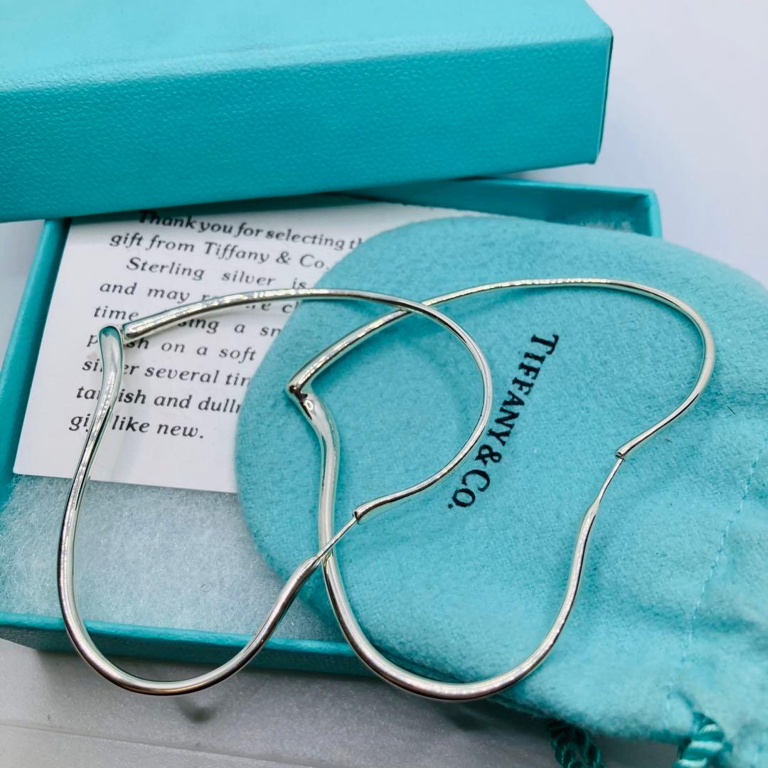Tiffany Earrings (For Both Ears) Ag925