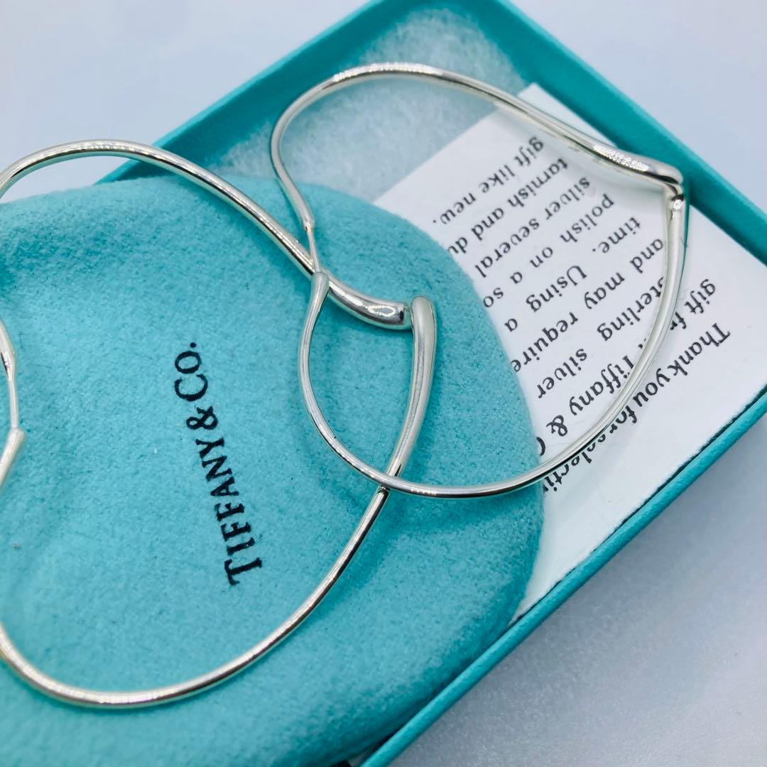 Tiffany Earrings (For Both Ears) Ag925