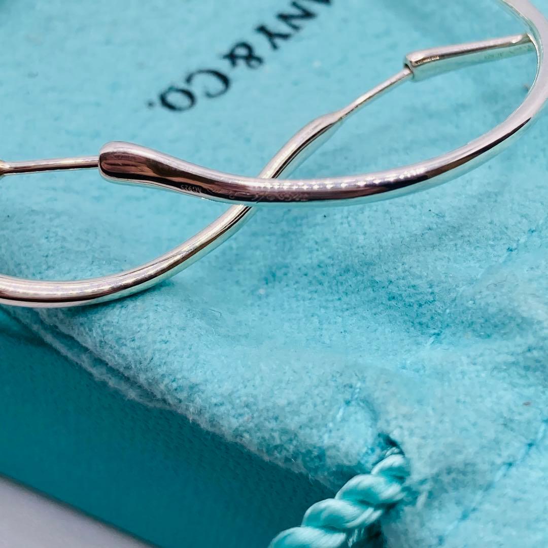 Tiffany Earrings (For Both Ears) Ag925