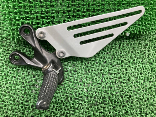 Kawasaki Others Zx-14R 0234 Zxt40E Genuine Nx