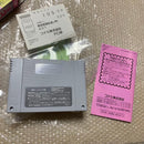 Super Famicom Games