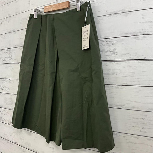 Tomorrowland Flare Skirt