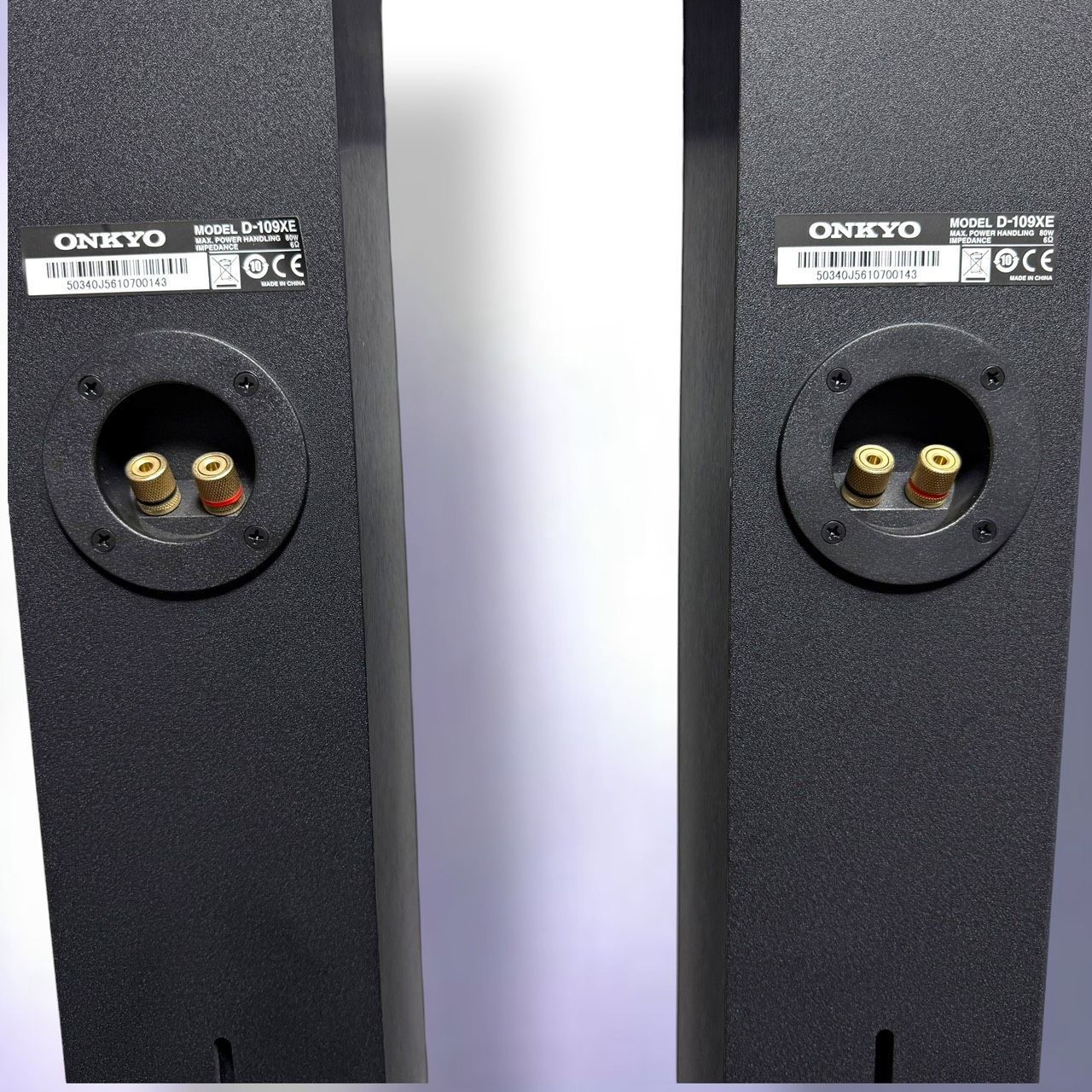 Onkyo Speaker D-109Xe B 2