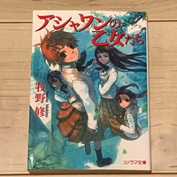 Literature Novel