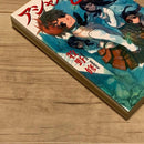 Literature Novel