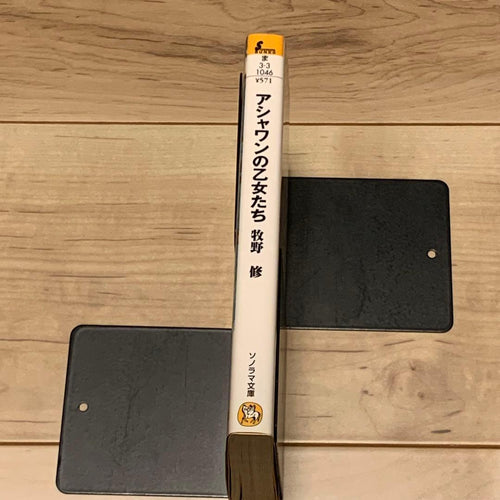 Literature Novel