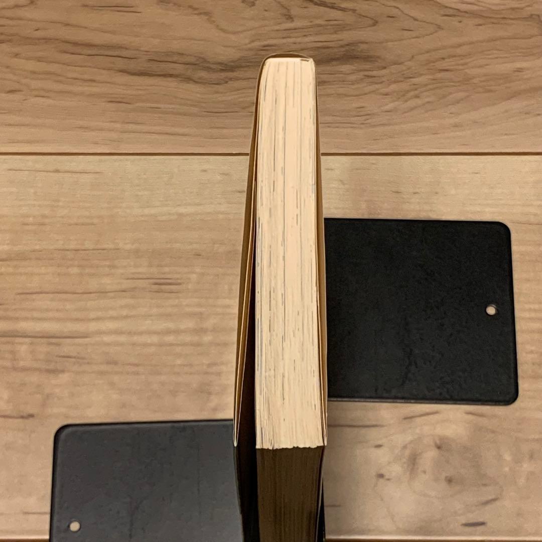 Literature Novel
