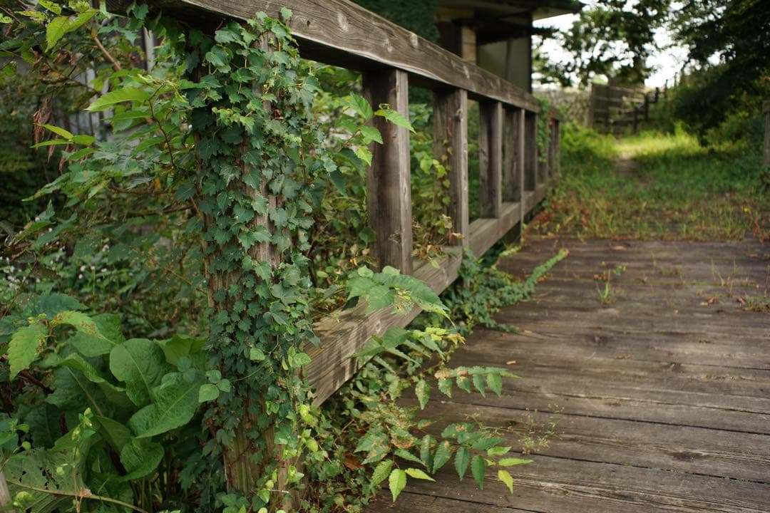 Nikon Lens (Single Focus) Nikkor-H Auto F3.5 Mpr