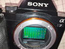 Sony Digital Cameras 7 17433