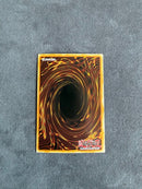 Yu -Gi -Oh! Ocg Duel Monsters (Foreign Language Version) 1St