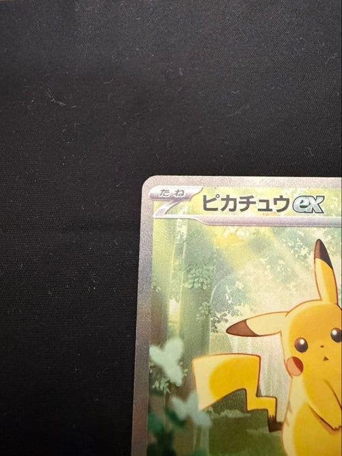 Pok Mon Trading Card Game Ex Mega 100 764/7