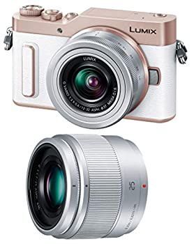 Digital Slr Gf90 Dc-Gf90W-W