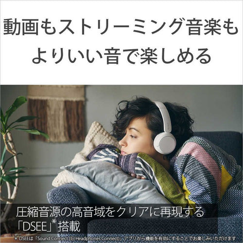 Sony Others Bluetooth Wh-Ch520 Pz