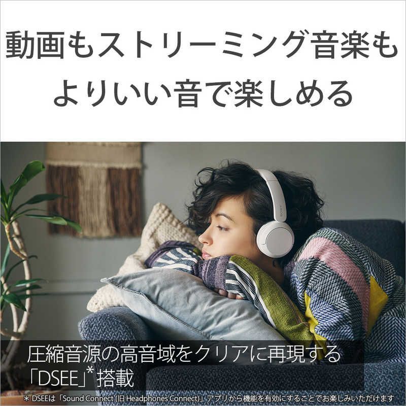 Sony Others Bluetooth Wh-Ch520 Pz