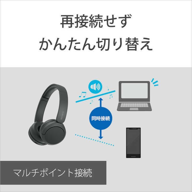 Sony Others Bluetooth Wh-Ch520 Pz