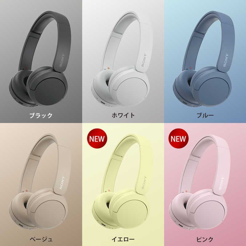 Sony Others Bluetooth Wh-Ch520 Pz
