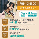 Sony Others Bluetooth Wh-Ch520 Pz
