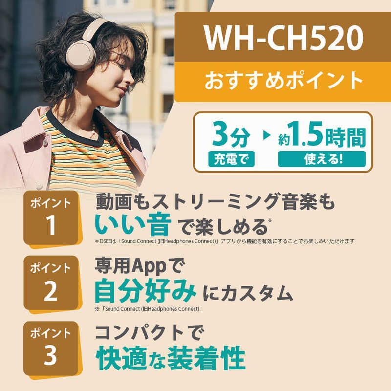 Sony Others Bluetooth Wh-Ch520 Pz