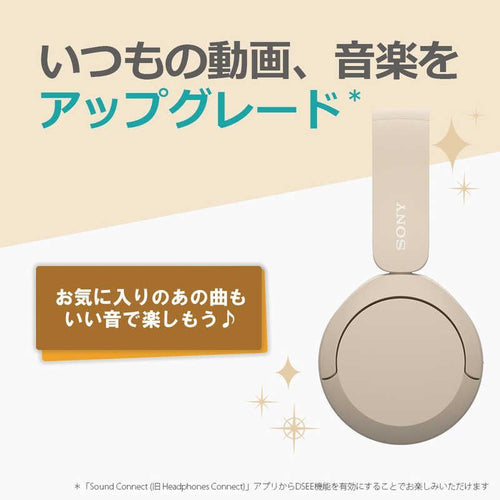 Sony Others Bluetooth Wh-Ch520 Pz