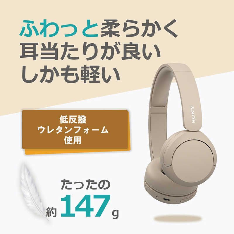 Sony Others Bluetooth Wh-Ch520 Pz