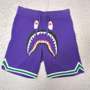 A Bathing Ape Short Pants And Shorts L
