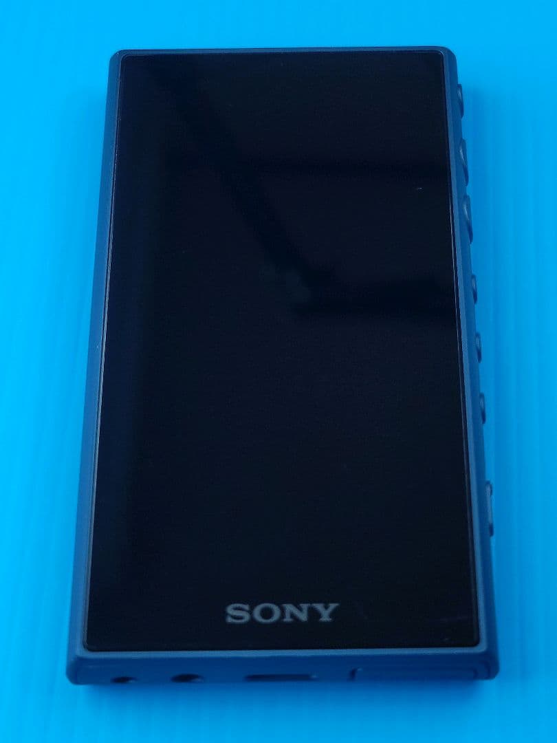 Sony Digital Audio Players Walkman Nw-A105Hn [16Gb]