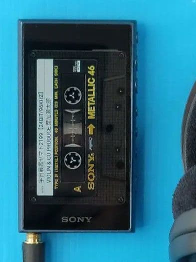 Sony Digital Audio Players Walkman Nw-A105 [16Gb]