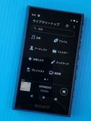 Sony Digital Audio Players Walkman Nw-A105Hn [16Gb]