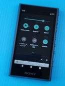 Sony Digital Audio Players Walkman Nw-A105Hn [16Gb]