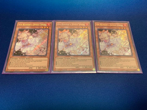 Yu -Gi -Oh! Ocg Duel Monsters (Foreign Language Version) 1St3
