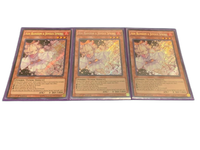 Yu -Gi -Oh! Ocg Duel Monsters (Foreign Language Version) 1St3