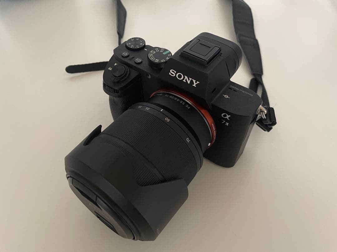 Sony Mirrorless Interchangeable Lips 7 Ii